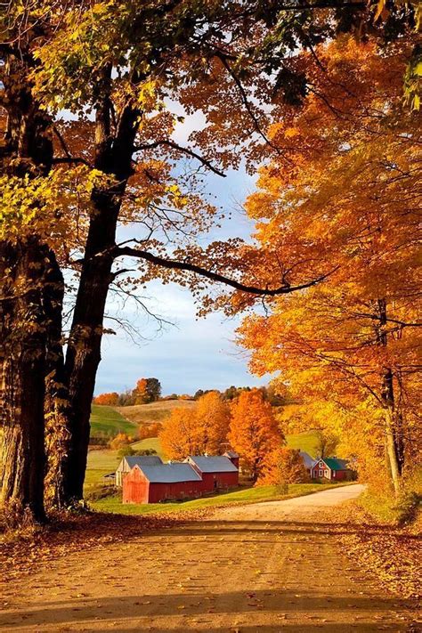 Beautiful Autumn country landscape Beautiful World, Beautiful Places, Gorgeous, Beautiful Farm ...