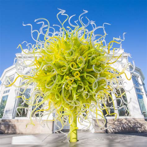 Dale Chihuly's Glass Sculptures Takeover The New York Botanical Garden