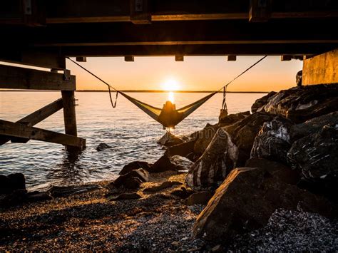 Under the Boardwalk stock image. Image of person, washington - 62468253