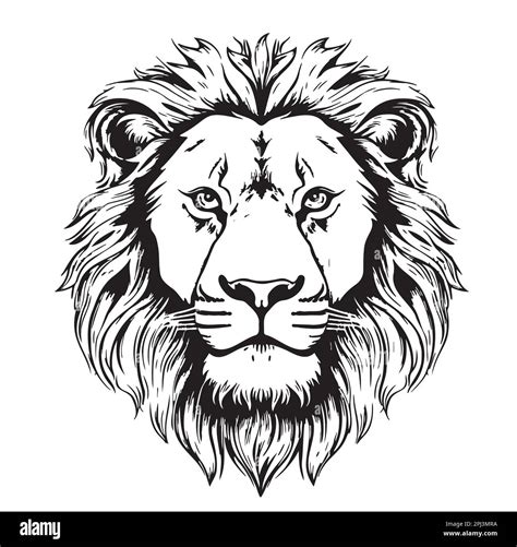 Lion face sketch hand drawn in cartoon style illustration Stock Vector ...