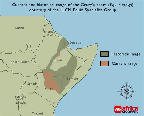 grevys-zebra-distribution-2 - Africa Geographic