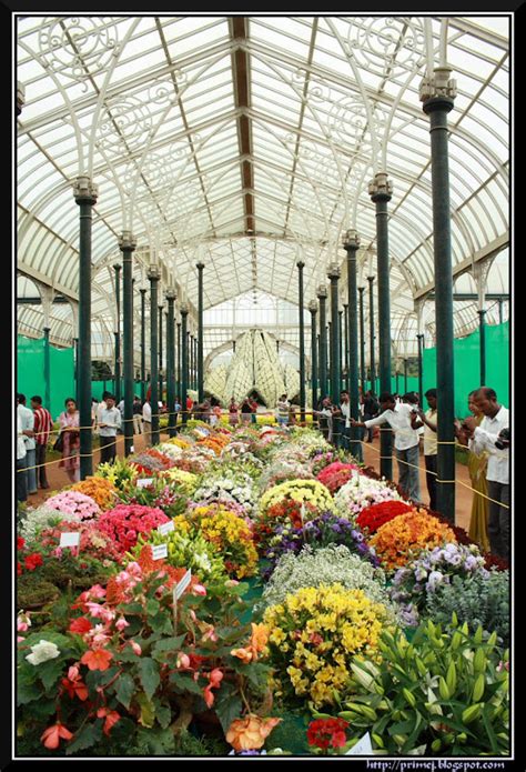 Prime Photos: Lalbagh Flower Show - August 2011