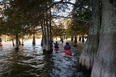 Lake Chicot from a Pontoon Boat - Only In Arkansas