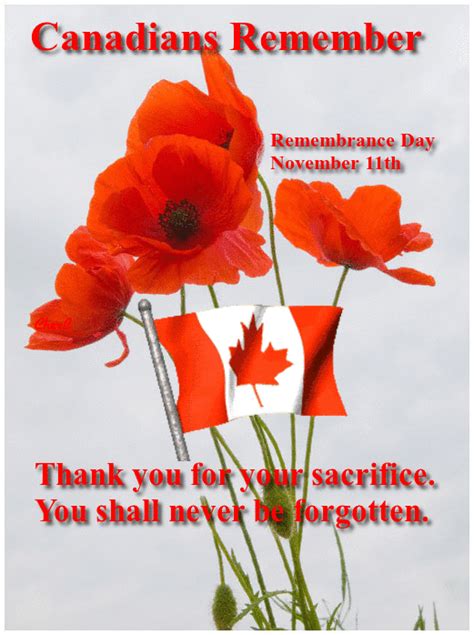 Canada's Remembrance Day, November 11th. We shall never forget ...