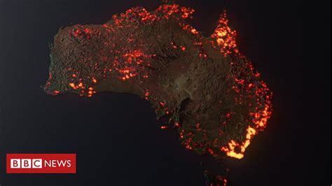 Australia fires: Misleading maps and pictures go viral – Monkey Viral