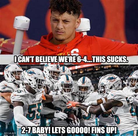 The 25 Funniest Miami Dolphins Memes, Ranked