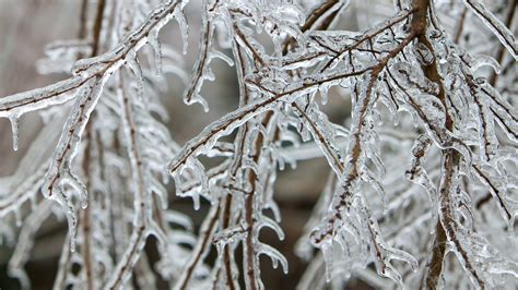 Sleet, freezing rain, and snow: here's the difference and why it ...