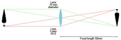 Photography 101 - Lenses, Light and Magnification