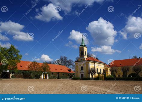 Horse-breeding farm stock image. Image of livestock, fields - 19530931