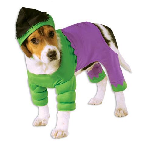 Marvel Hulk Dog Costume with Same Day Shipping | BaxterBoo