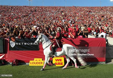 1,032 Usc Mascot Stock Photos, High-Res Pictures, and Images - Getty Images