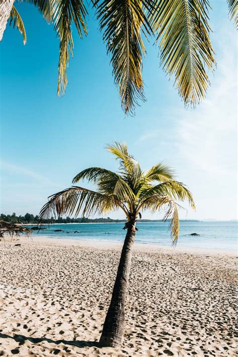 Ngapali Beach: Ein Traum von einem Strand in Myanmar - Sommertage