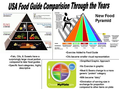 importance of food pyramid - Leah Kerr