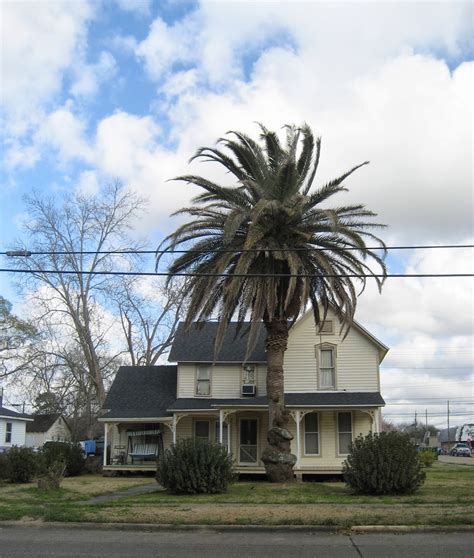 Living Rootless: Jennings, Louisiana: A Walk on Cary Avenue