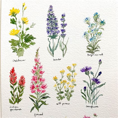 Pretty Little Wildflowers | Skillshare Projects Simple Flower Drawing, Easy Flower Drawings ...