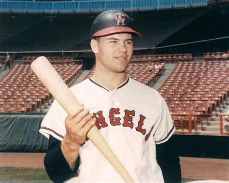 Rick Reichardt | Angels baseball, Baseball pictures, Baseball