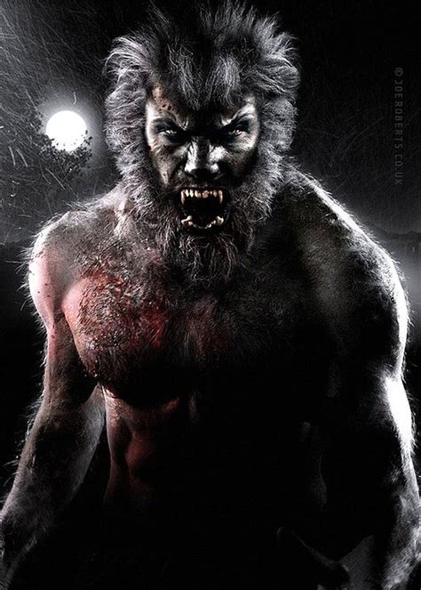 Hot Digital Artworks by Joe Roberts | Werewolf, Vampires and werewolves ...