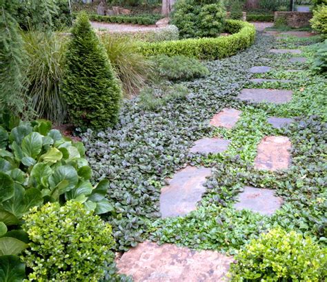 Ground Force: Top 10 Ground Cover Plants for Your Garden | Houzz NZ