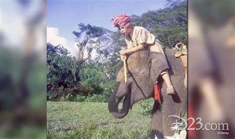 👍 Swiss family robinson animals. Animals from The Swiss Family Robinson by Michael and Bobby on ...