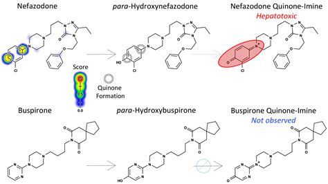 Deep Learning to Predict the Formation of Quinone Species in Drug Metabolism - S. Joshua ...