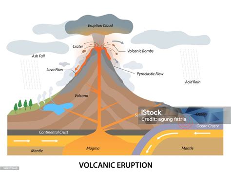 Volcanic Eruption Process Structure With Geological Side View Stock ...