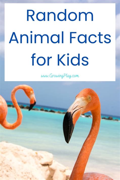 Random-Animal-Facts-for-Kids - Growing Play