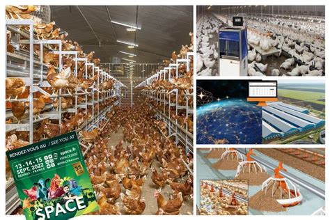 From cages to aviaries: practical solutions for poultry house ...