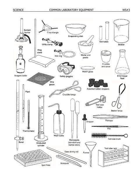 Diagram Of Science Equipment Wiring Diagram — db-excel.com