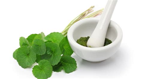 What is Gotu Kola? Benefits & its Ayurvedic Relevance