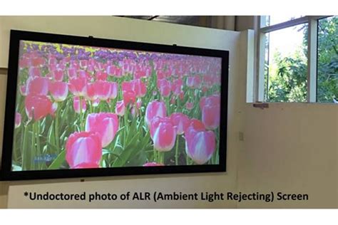 The Difference Between Matte White and the Cinegrey 3D®Ambient Light Rejecting Projector Screen ...