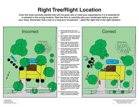 Right Tree, Right Location | Trees to plant, Garden landscape design, Home landscaping