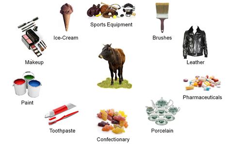 Crystalyx - Resource utilization and how beef cattle production benefits the environment