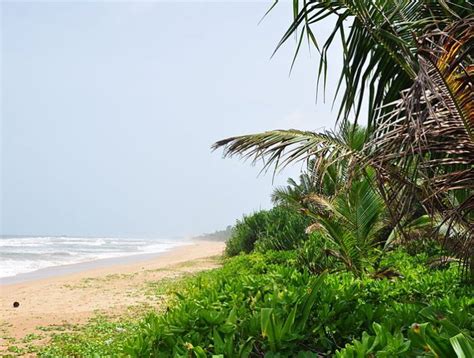 Bentota Beach Sri Lanka | Sandy Beach Trips