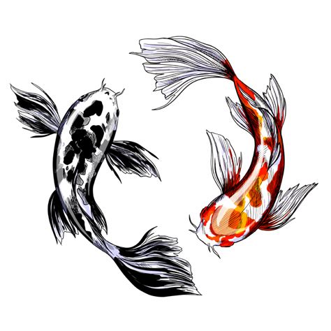 tattoo drawings #tattoo drawings | Koi fish drawing, Koi art, Fish drawings