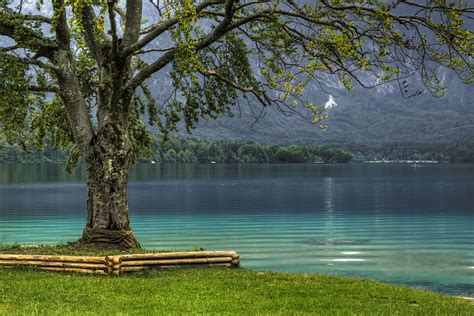 16 Beautiful Lake Bohinj Photos To Inspire You to Visit Slovenia