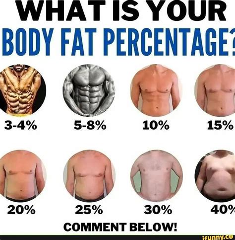 WHAT IS YOUR BODY FAT PERCENTAGE: 10% 15% 20% 25% SO% COMMENT OW! - iFunny