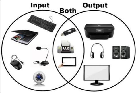 Draw the diagram of input and output device - Brainly.in