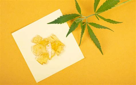 What Is Marijuana Wax - Cannabis 101 | Leafy Mate