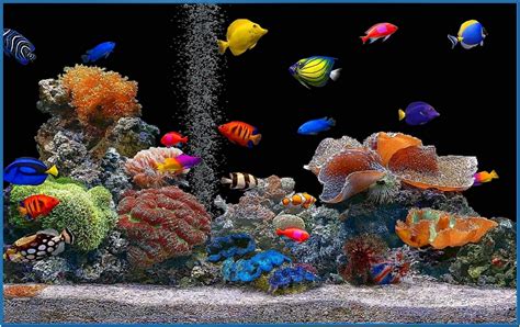 Marine Aquarium Screensaver HD - Download-Screensavers.biz