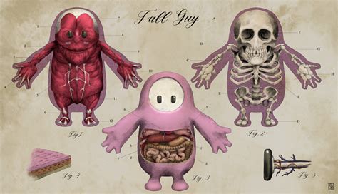 Ever wondered what’s inside a Fall Guy? Anatomical fanart reveals the horrible truth | GINX ...