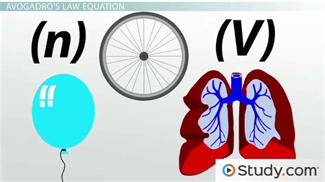 Molar Volume: Using Avogadro's Law to Calculate the Quantity or Volume of a Gas - Video & Lesson ...