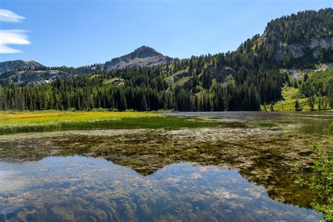 Silver Lake - Amazing America