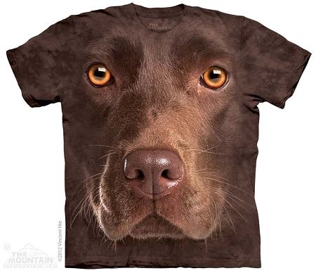 Chocolate Lab Portrait - 10-3550 - Adult Tshirt