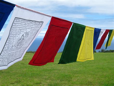 Tibetan Prayer Flags, string of 25 large flag in high grade cotton ...