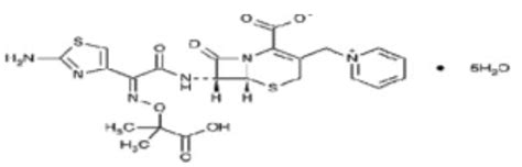 Ceftazidime - wikidoc