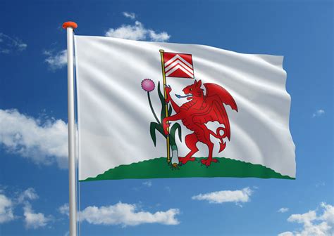 Vlag Cardiff | Bestel bij MastenenVlaggen.nl