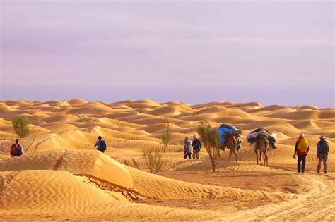 Sahara Desert (Tunisia, Africa): from US$47 - Top Tips Before You Go ...