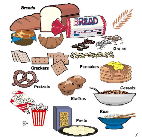 go foods examples - Google Search | Food to go, Food png, Food clipart