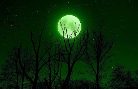 1080P free download | Fullmoon, moon, sky, green, stars, trees, night ...