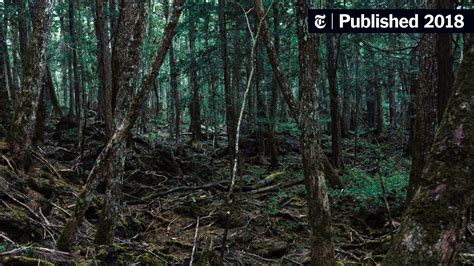 Long Before Video, Japanese Fought Suicide in the ‘Sea of Trees’ - The ...